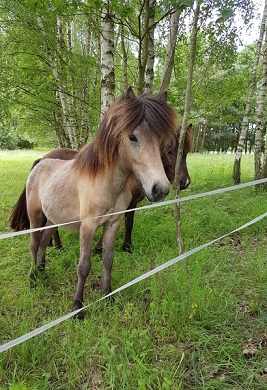 Klicken Sie in das Bild, um die Großansicht aufzurufen