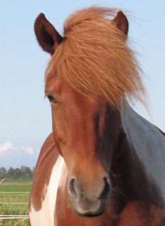 Klicken Sie in das Bild, um die Großansicht aufzurufen