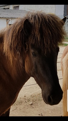Klicken Sie in das Bild, um die Großansicht aufzurufen