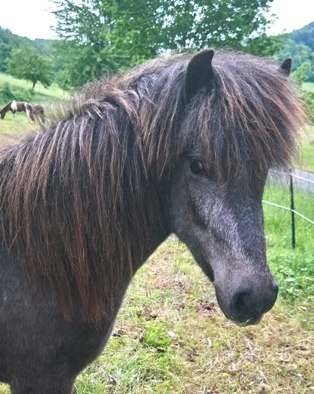 Klicken Sie in das Bild, um die Großansicht aufzurufen