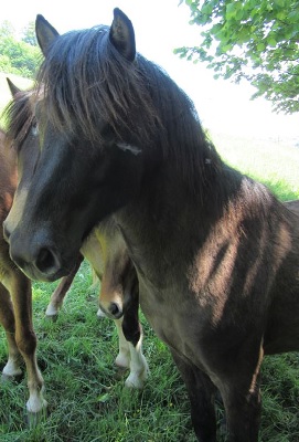 Klicken Sie in das Bild, um die Großansicht aufzurufen