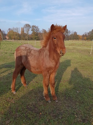 Klicken Sie in das Bild, um die Großansicht aufzurufen