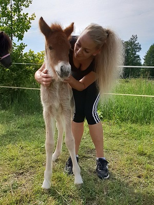 Klicken Sie in das Bild, um die Großansicht aufzurufen