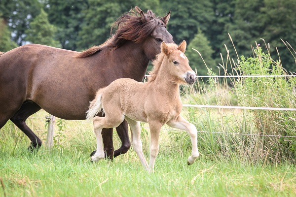 Klicken Sie in das Bild, um die Großansicht aufzurufen