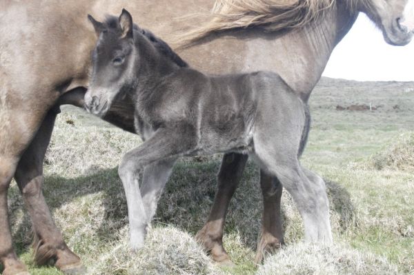 Klicken Sie in das Bild, um die Großansicht aufzurufen