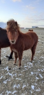 Klicken Sie in das Bild, um die Gro�ansicht aufzurufen