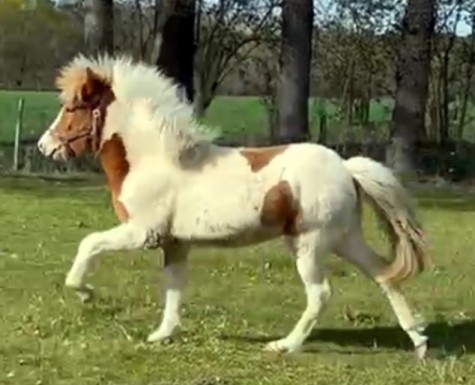 Klicken Sie in das Bild, um die Gro�ansicht aufzurufen