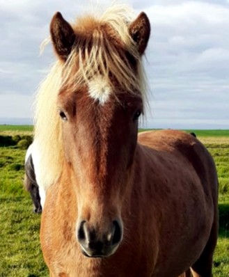 Klicken Sie in das Bild, um die Gro�ansicht aufzurufen